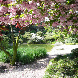 Les jardins Japonais