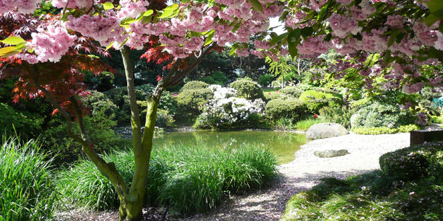 Les jardins japonais